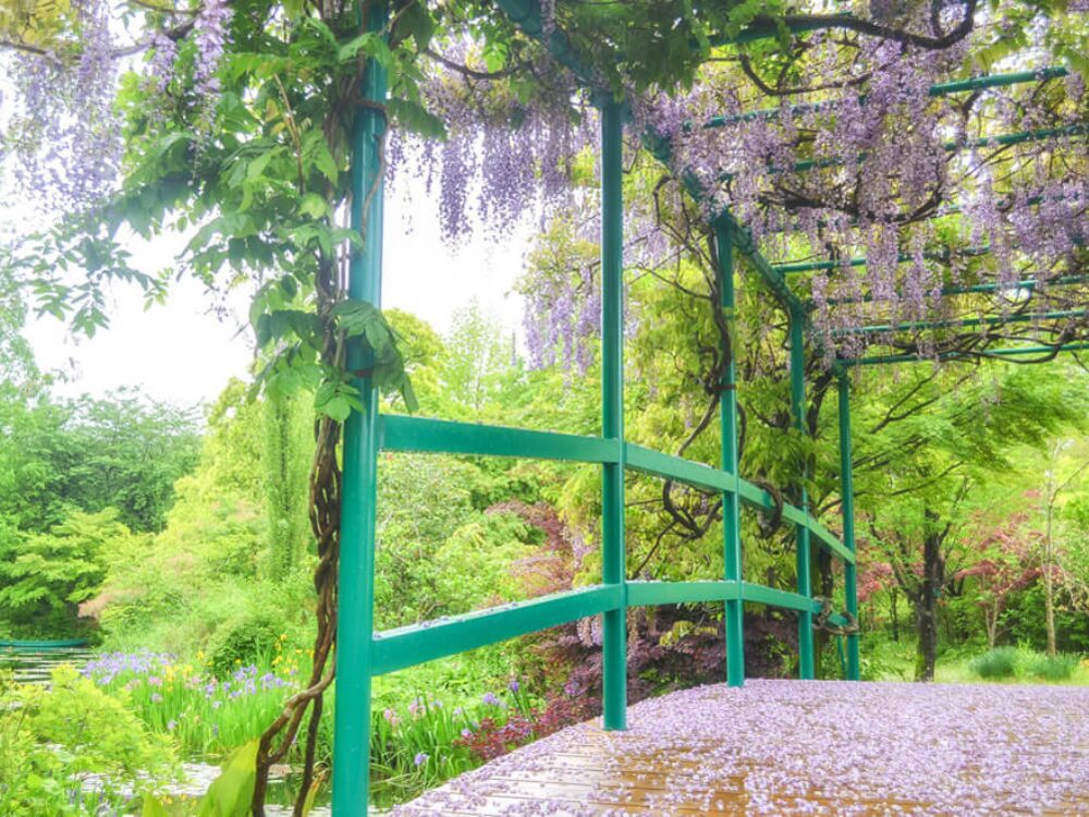 北川村「モネの庭」 マルモッタンの画像です